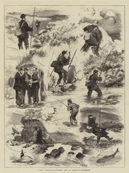 The Tribulations of a Trout-Fisher